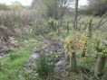/album/my-local-birding-gallery/boggy-area-on-thornhill-wetlands-reserve-being-opened-up-to-create-new-pond-jpg/